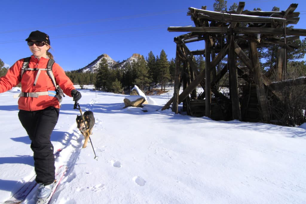 Winter XC Ski