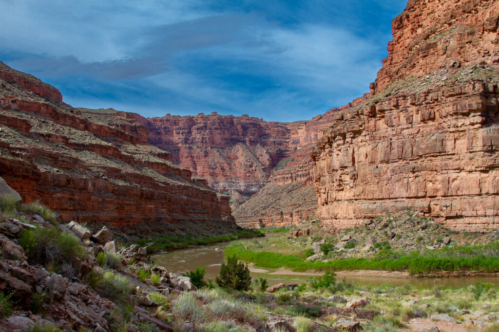 Spring Banner 2023-2