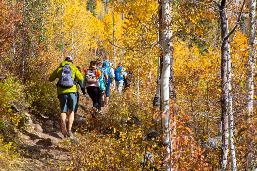 Fall Color Hike